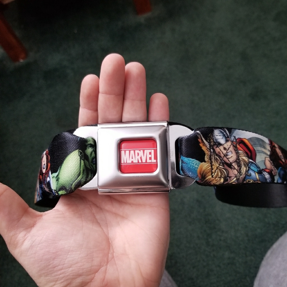 Buckle Down seat belt buckle belt